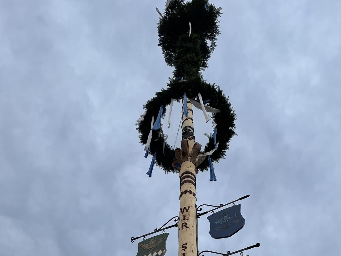 Maibaum Ronheim