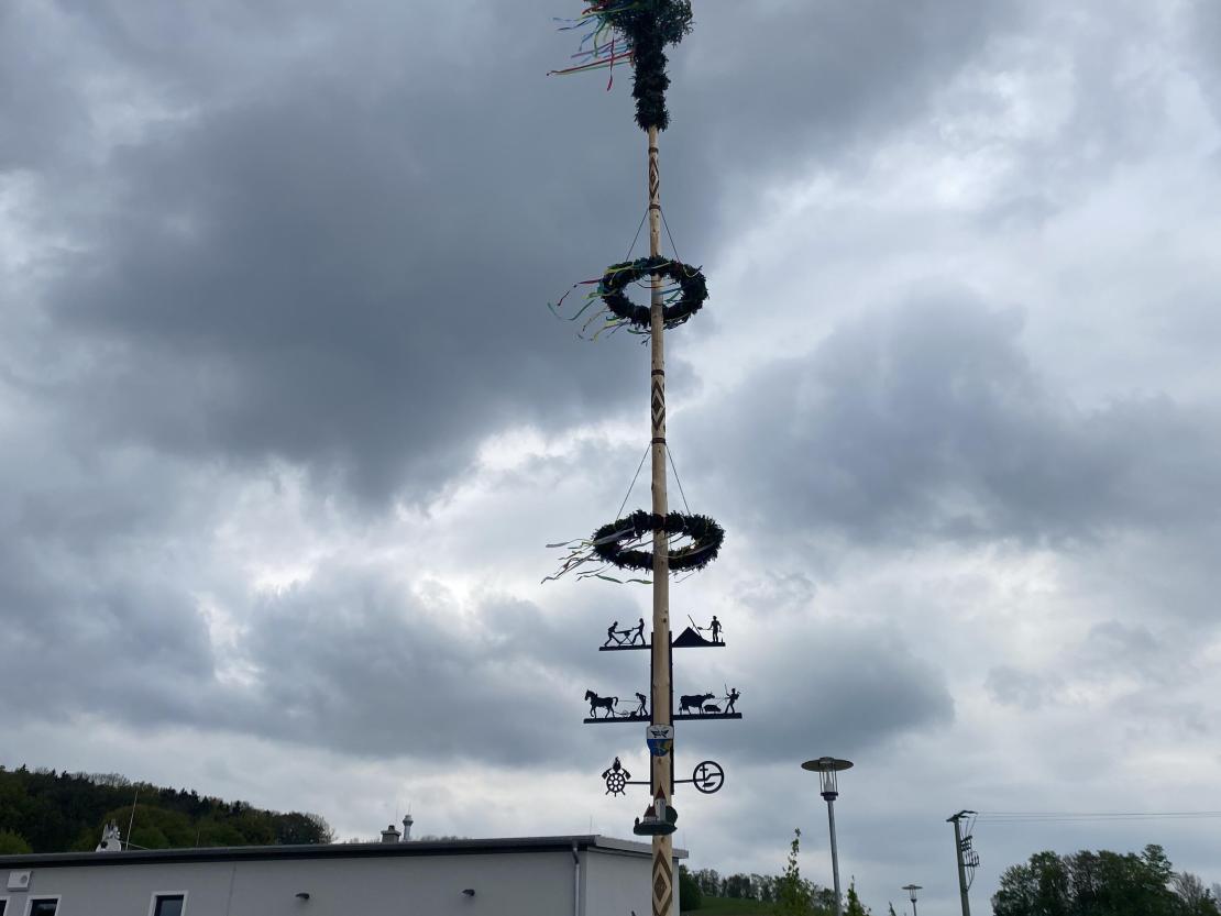 Maibaum Schäfstall