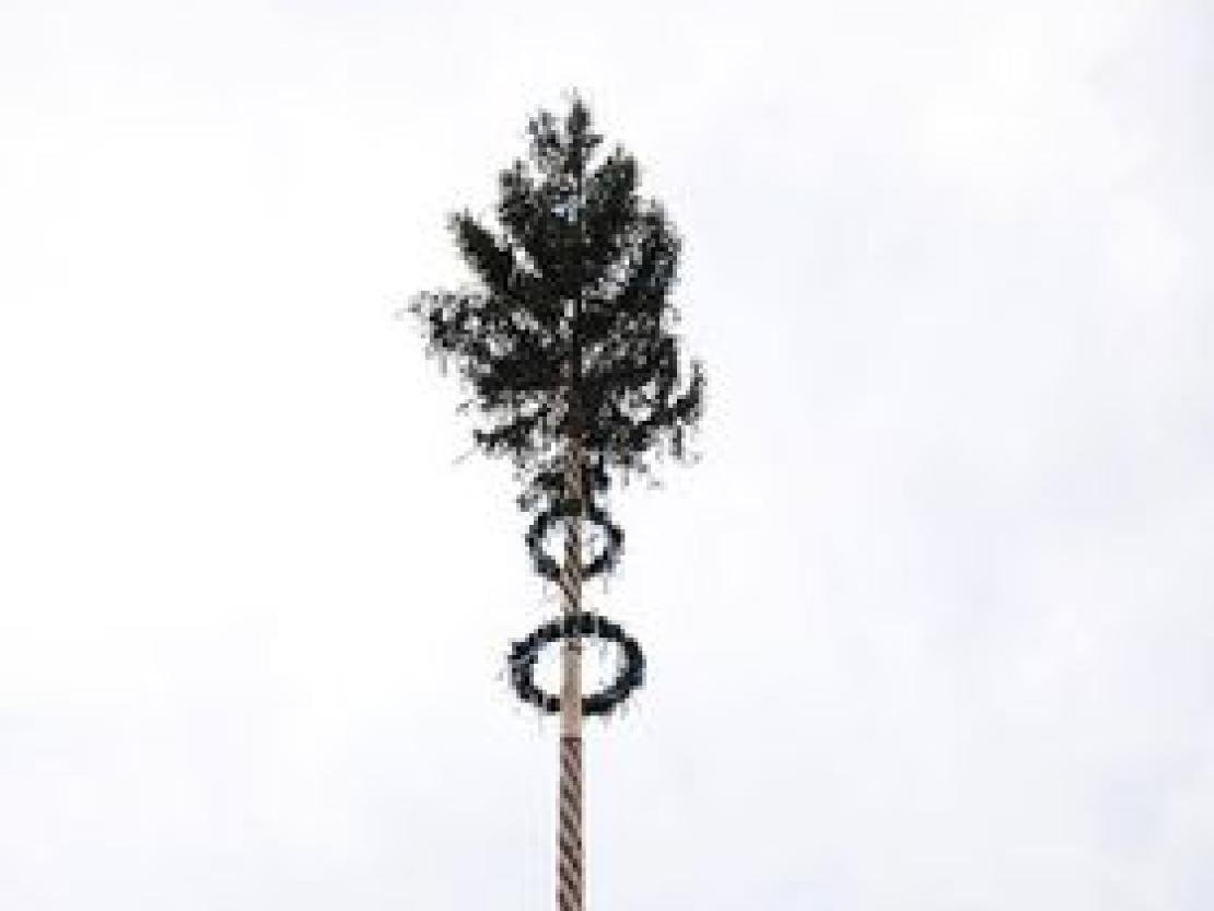 Maibaum Waldstetten