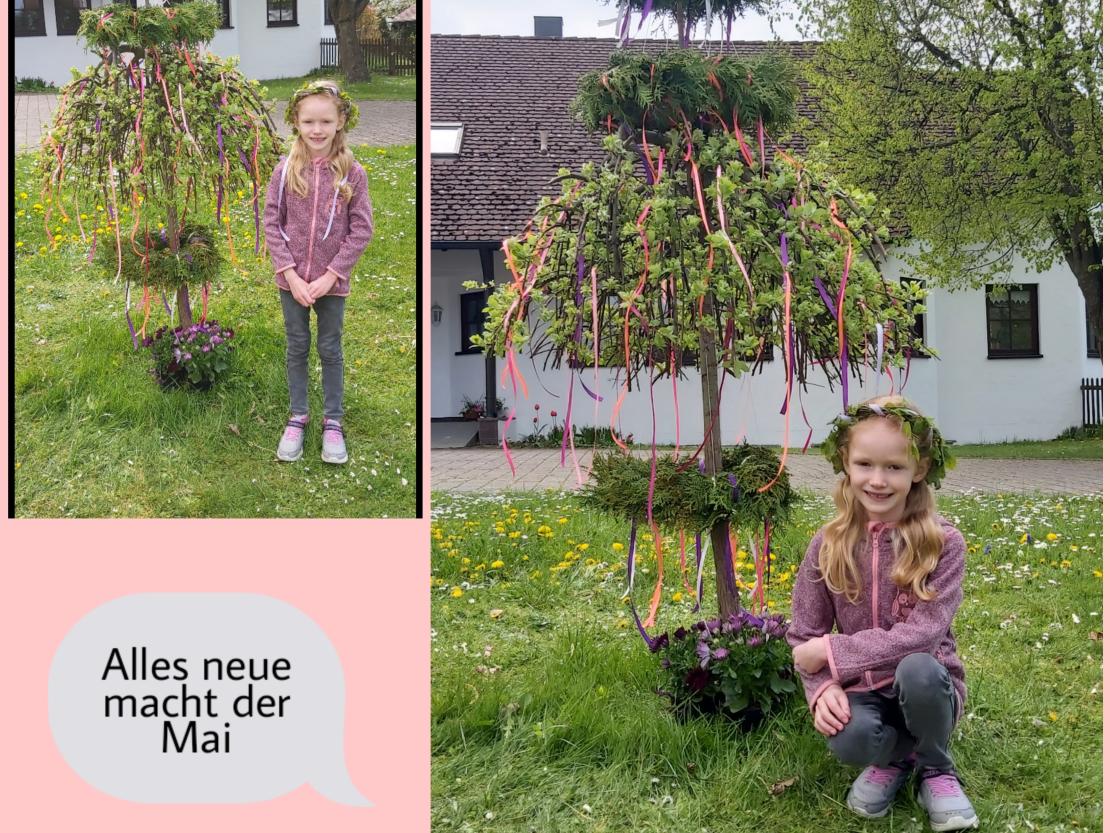 Maibaum Familie Oettingen
