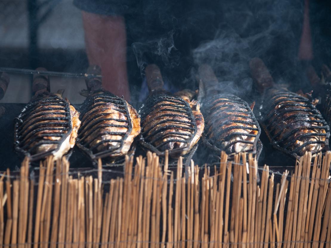 Fischerstechen Donauwörth 2022