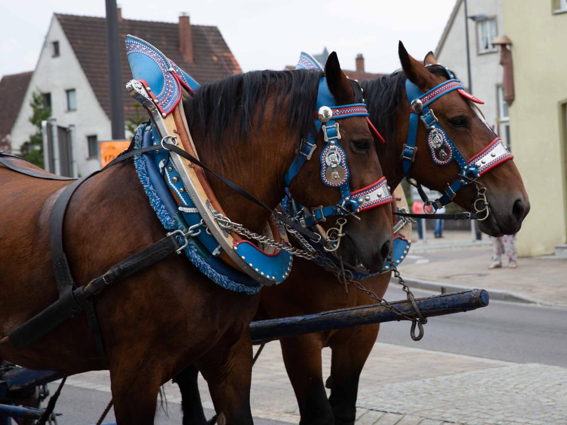 Jakobi Kirchweih 2022