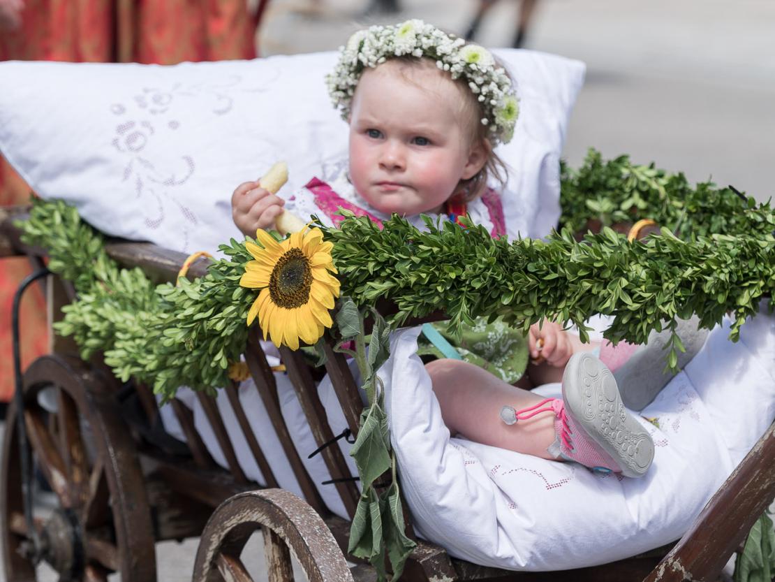 Schützenfest Harburg 2022