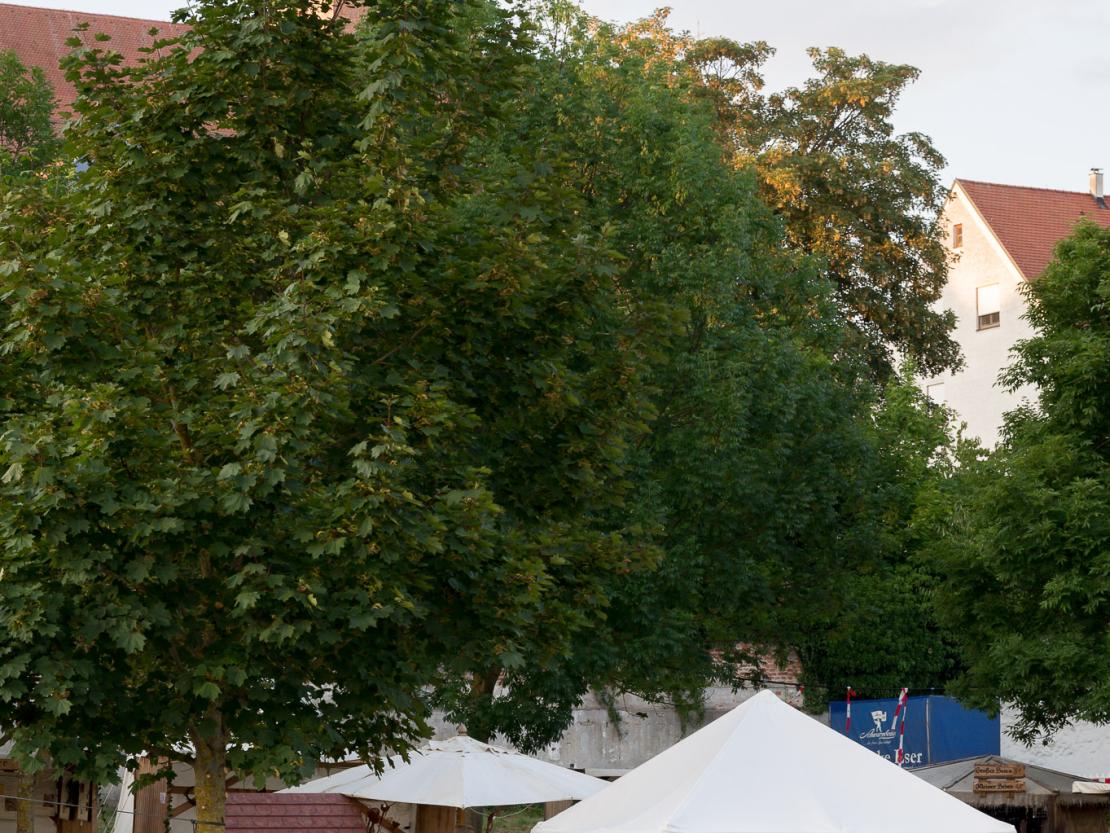 Schwäbischwerder Kindertag Samstag 2022