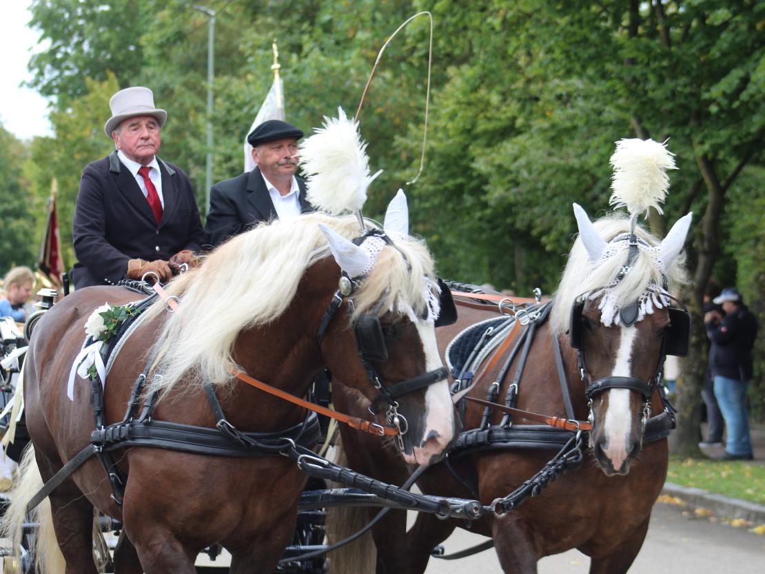 Festumzug FFW Bäumenheim