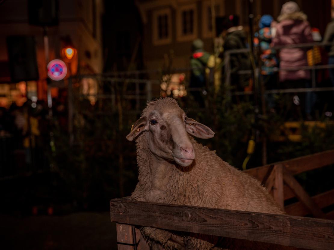 Eröffnung Weihnachtsmarkt Nördlingen 2022