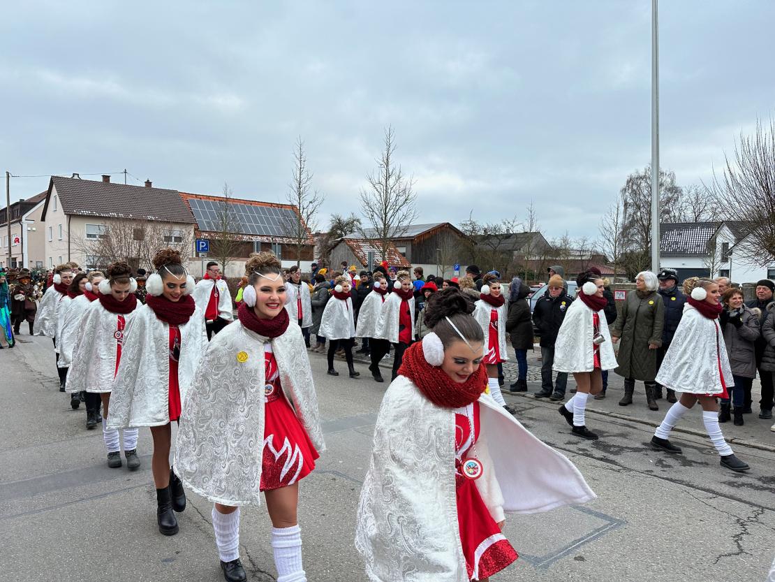 Faschingsumzug Mertingen 2023