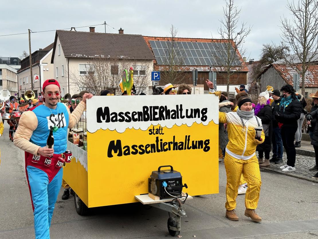 Faschingsumzug Mertingen 2023
