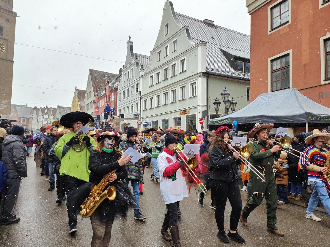 Faschingsumzug Donauwörth
