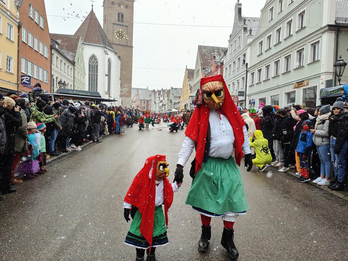 Faschingsumzug Donauwörth