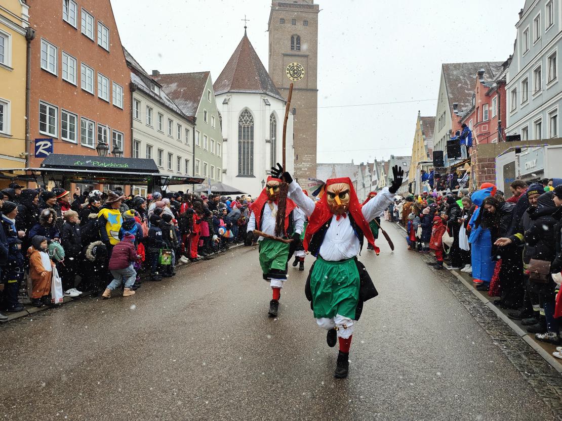 Faschingsumzug Donauwörth