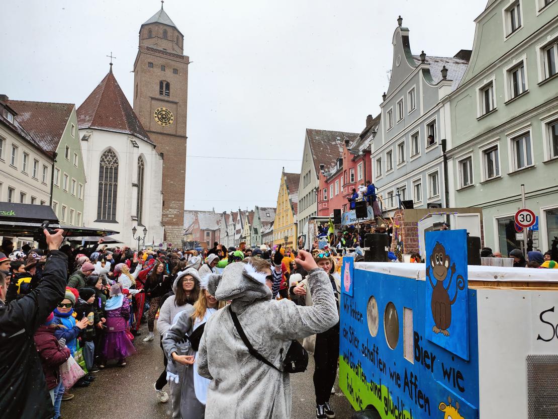 Faschingsumzug Donauwörth