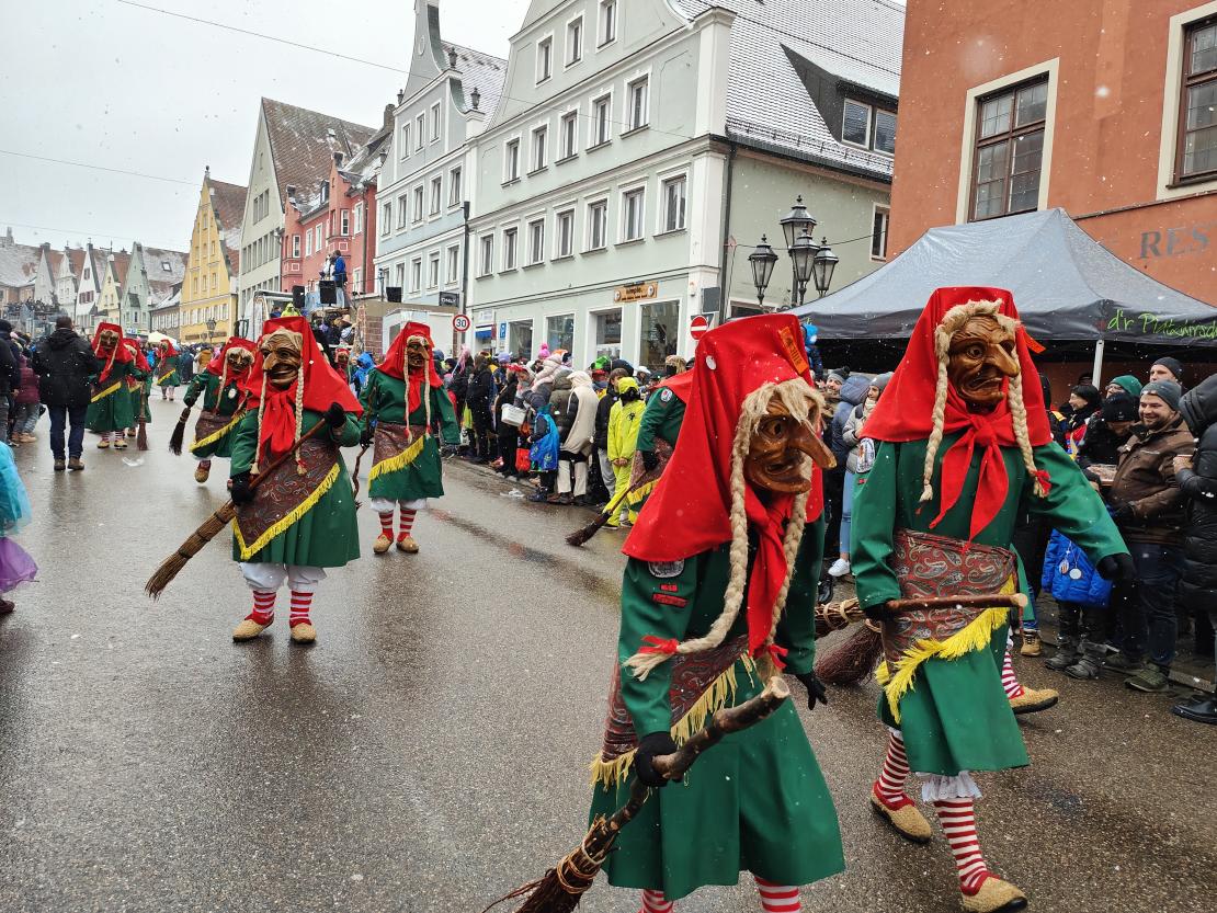 Faschingsumzug Donauwörth