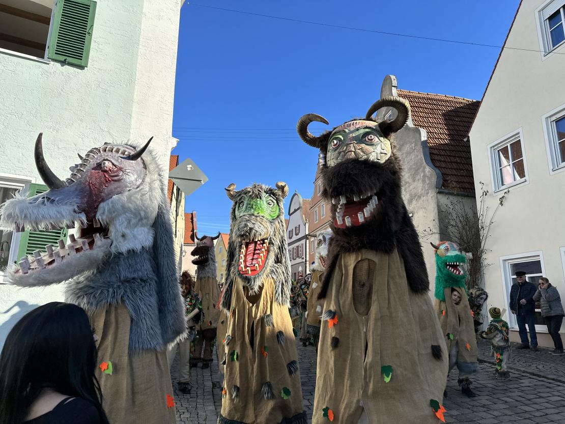 Fasching in Wemding 2023