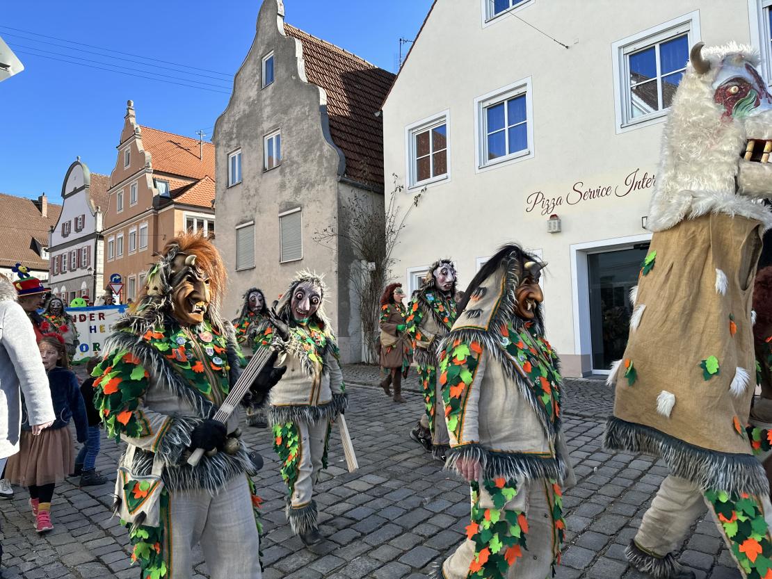 Fasching in Wemding 2023