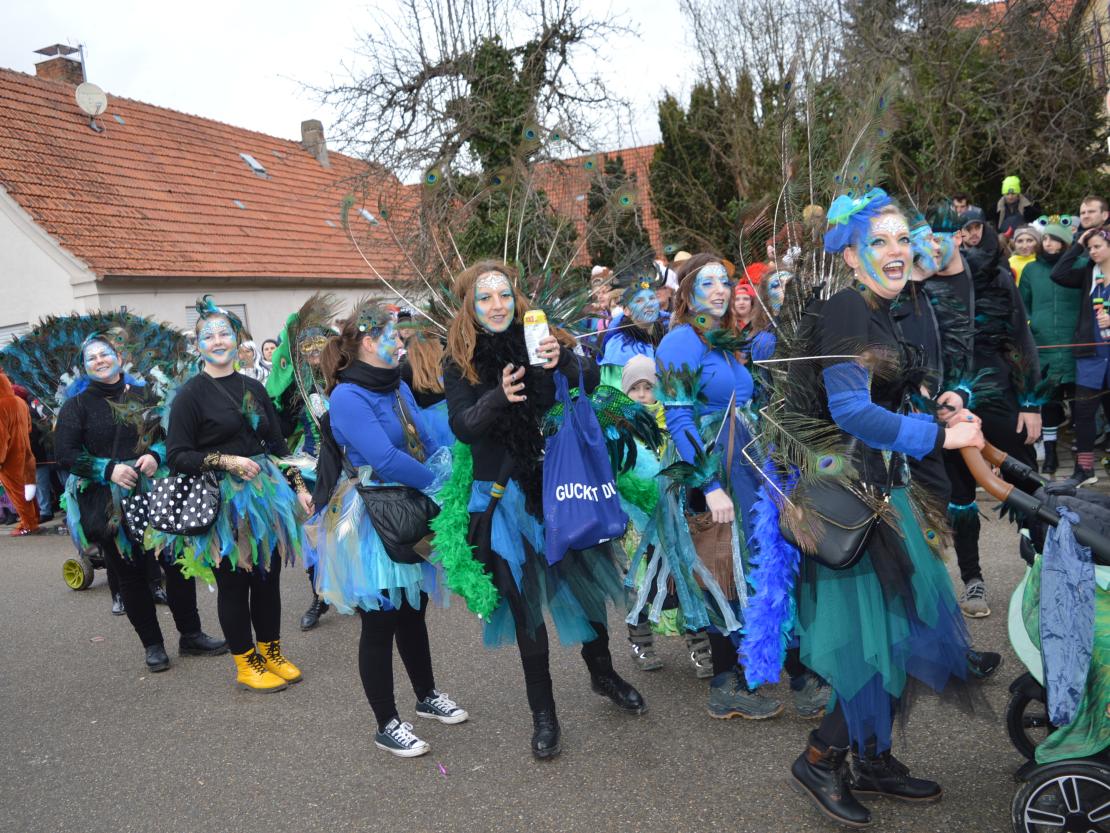 Megesheimer Faschingsumzug 2023