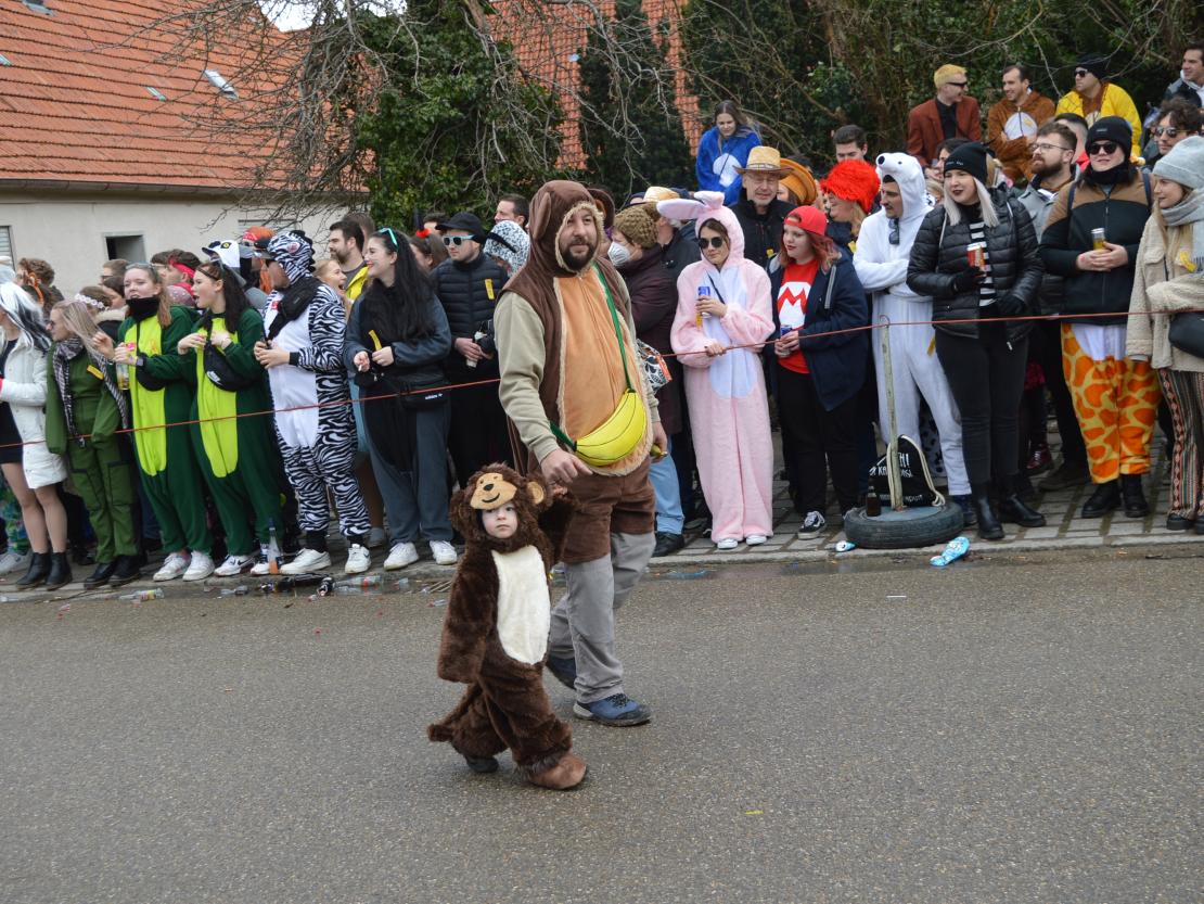 Megesheimer Faschingsumzug 2023