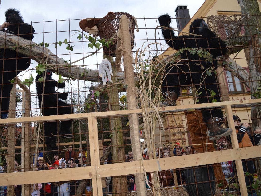 Megesheimer Faschingsumzug 2023