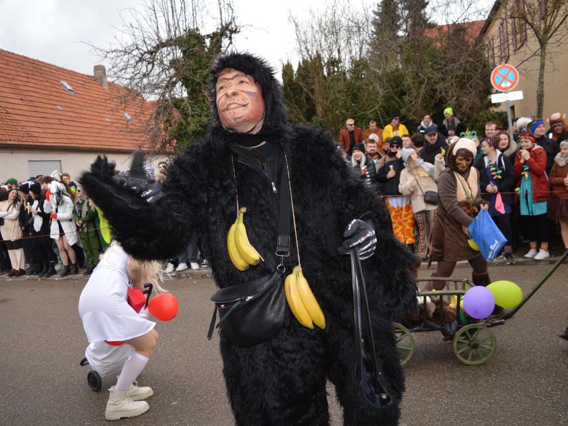 Megesheimer Faschingsumzug 2023