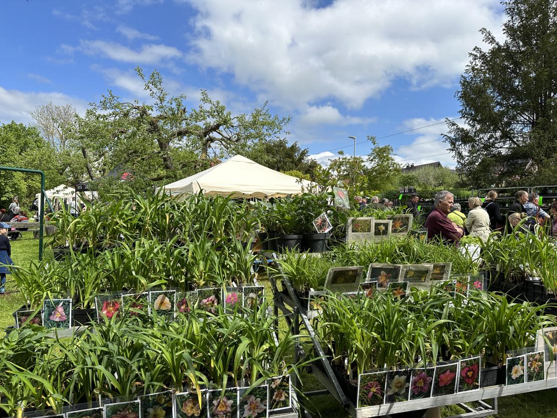 Kunst im Park in Harburger Märkerpark