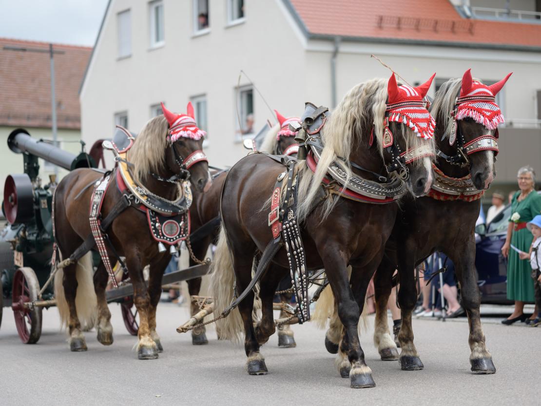 Historisches Stadtfest Monheim 2023