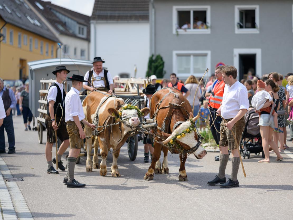Historisches Stadtfest Monheim 2023