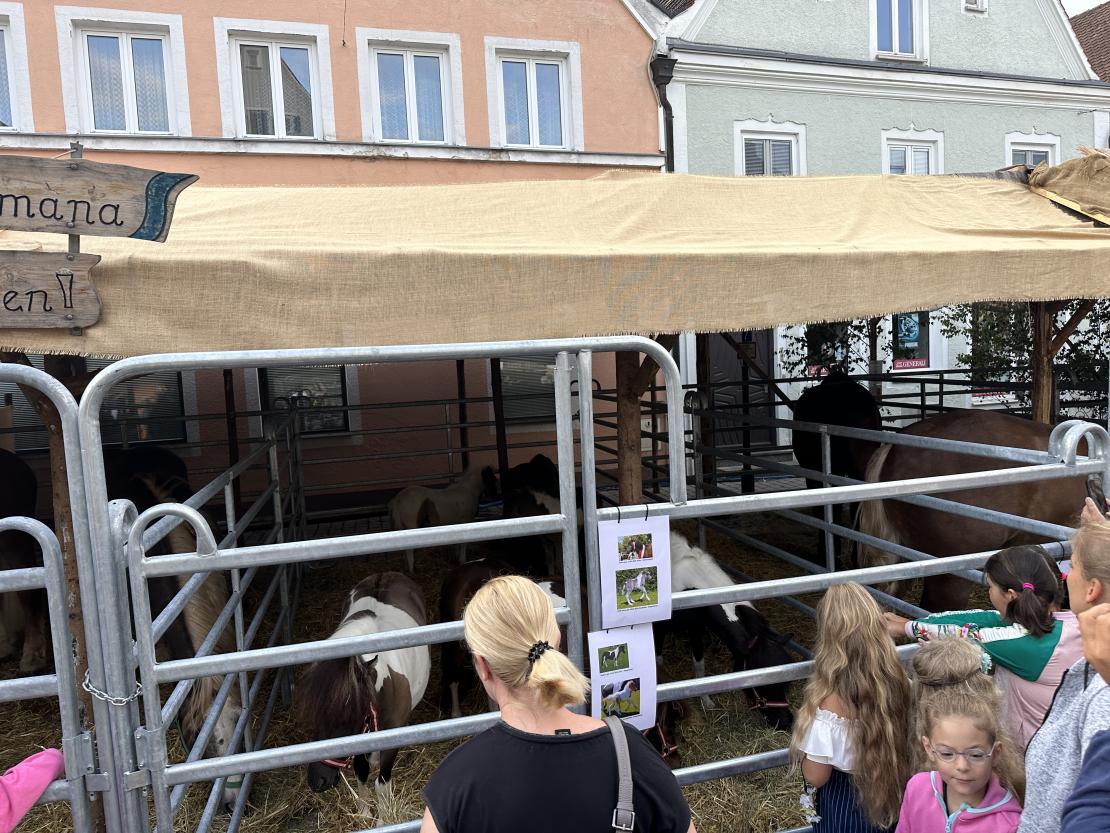 Viehmarkt des historischen Stadtfest Monheim