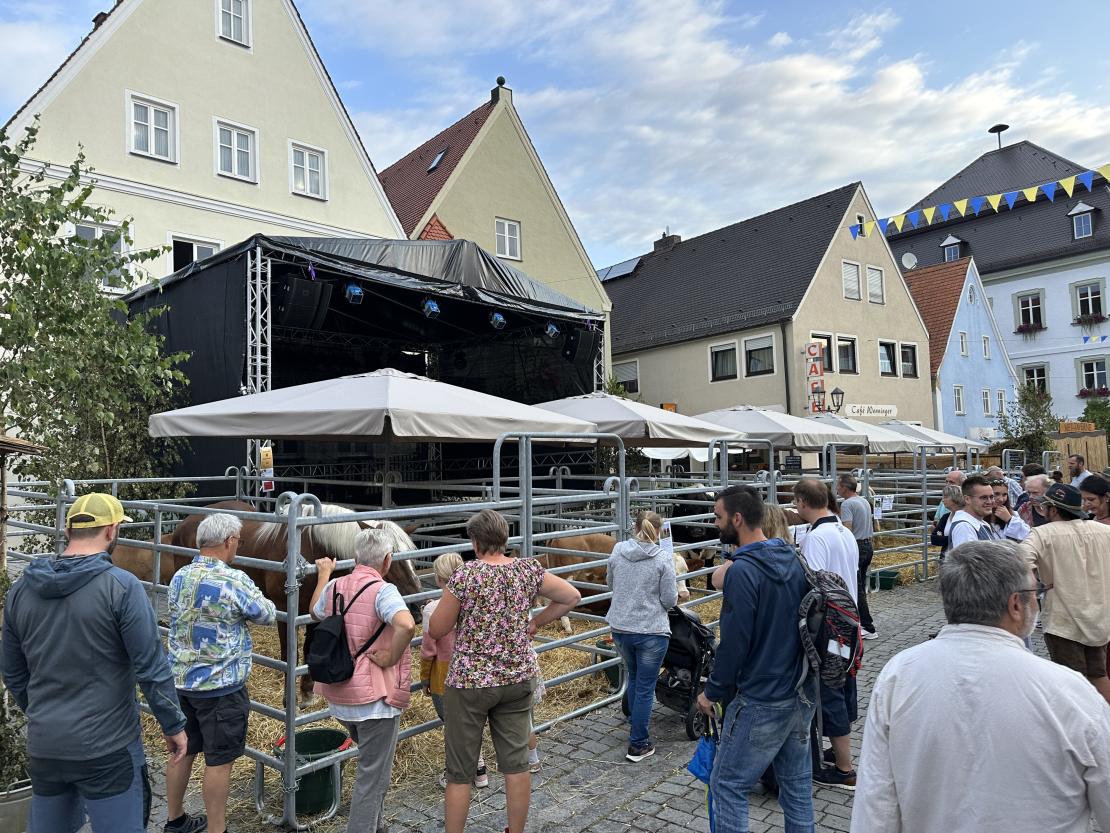 Viehmarkt des historischen Stadtfest Monheim
