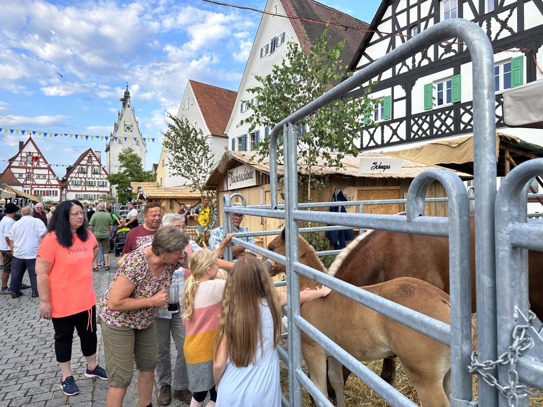 Viehmarkt des historischen Stadtfest Monheim