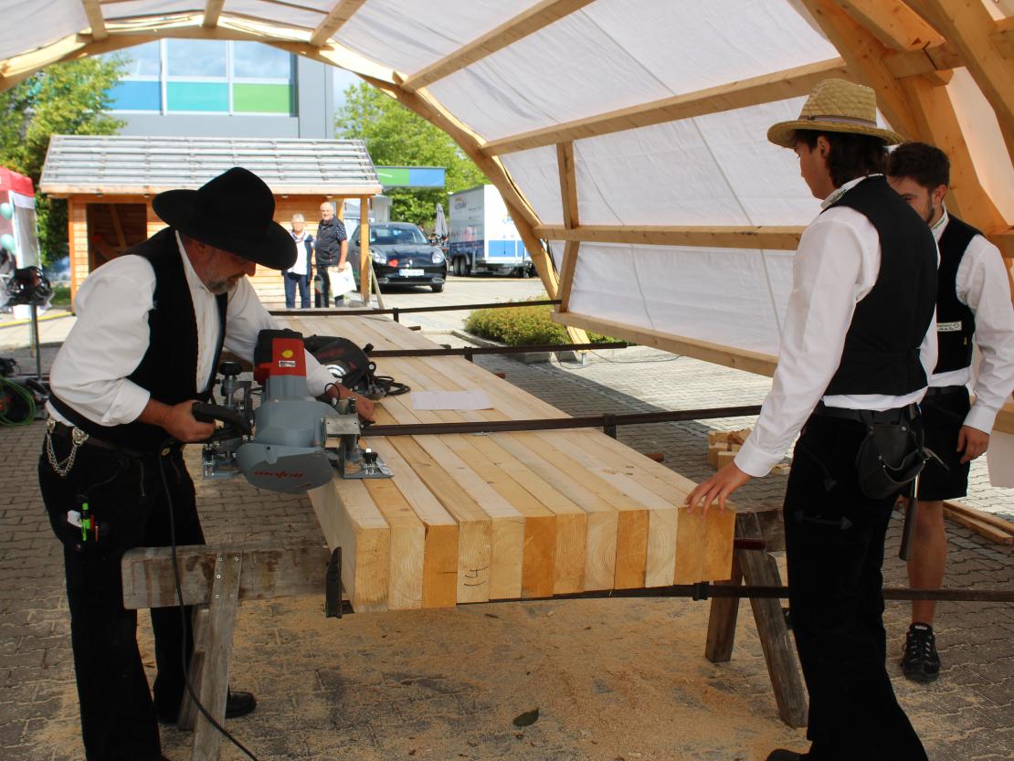 Donauries-Ausstellung 