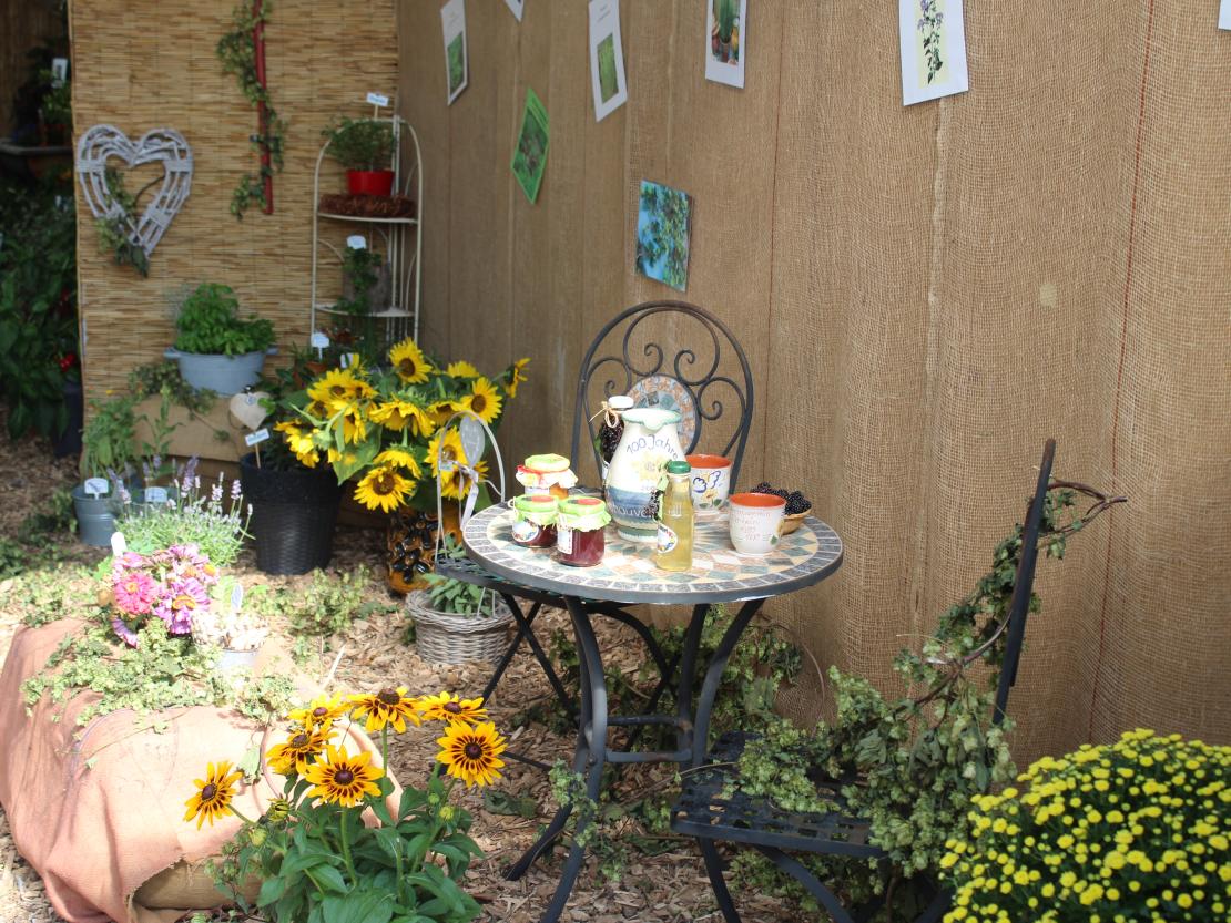 Donauries-Ausstellung 