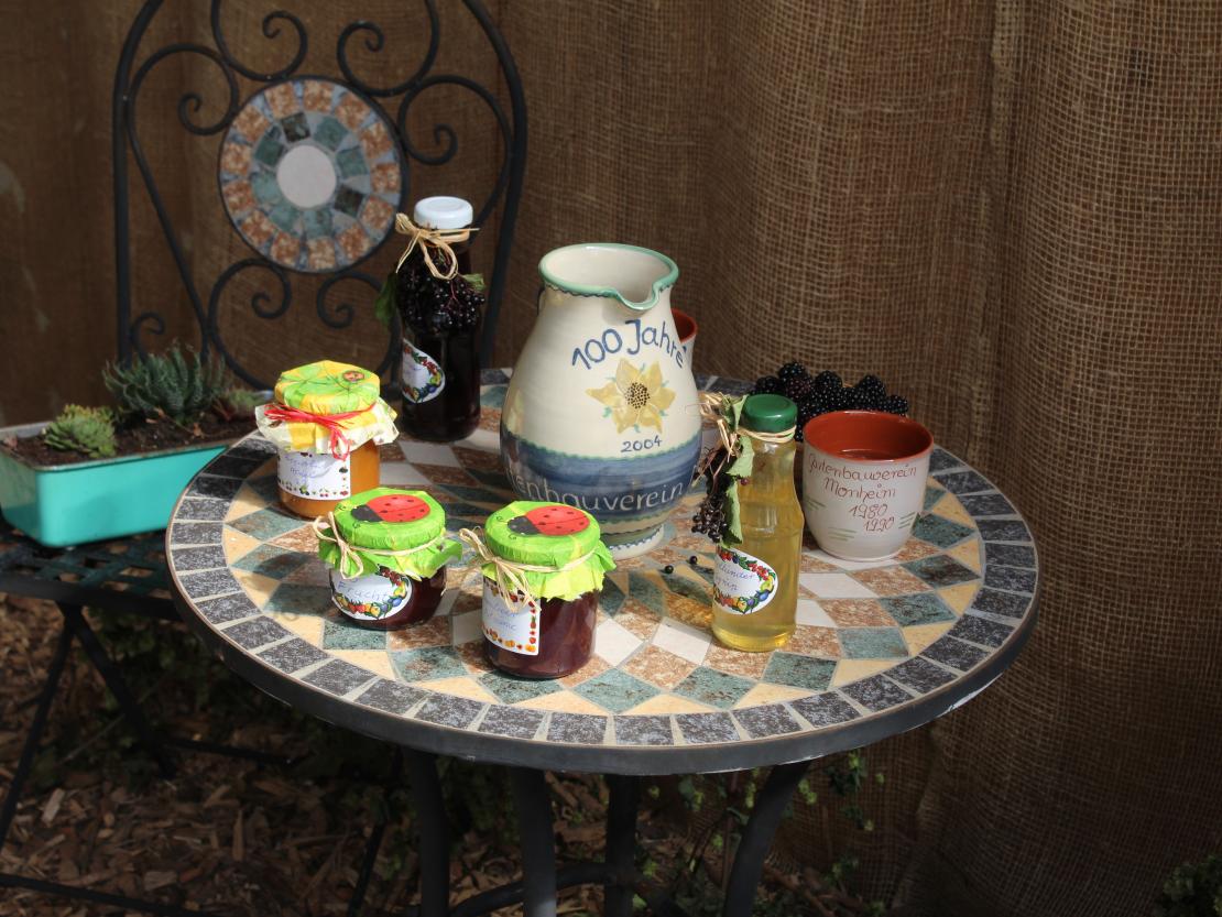 Donauries-Ausstellung 