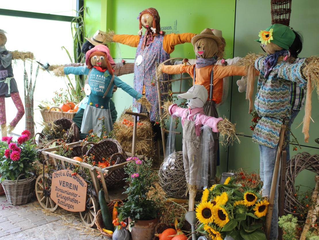 Donauries-Ausstellung 