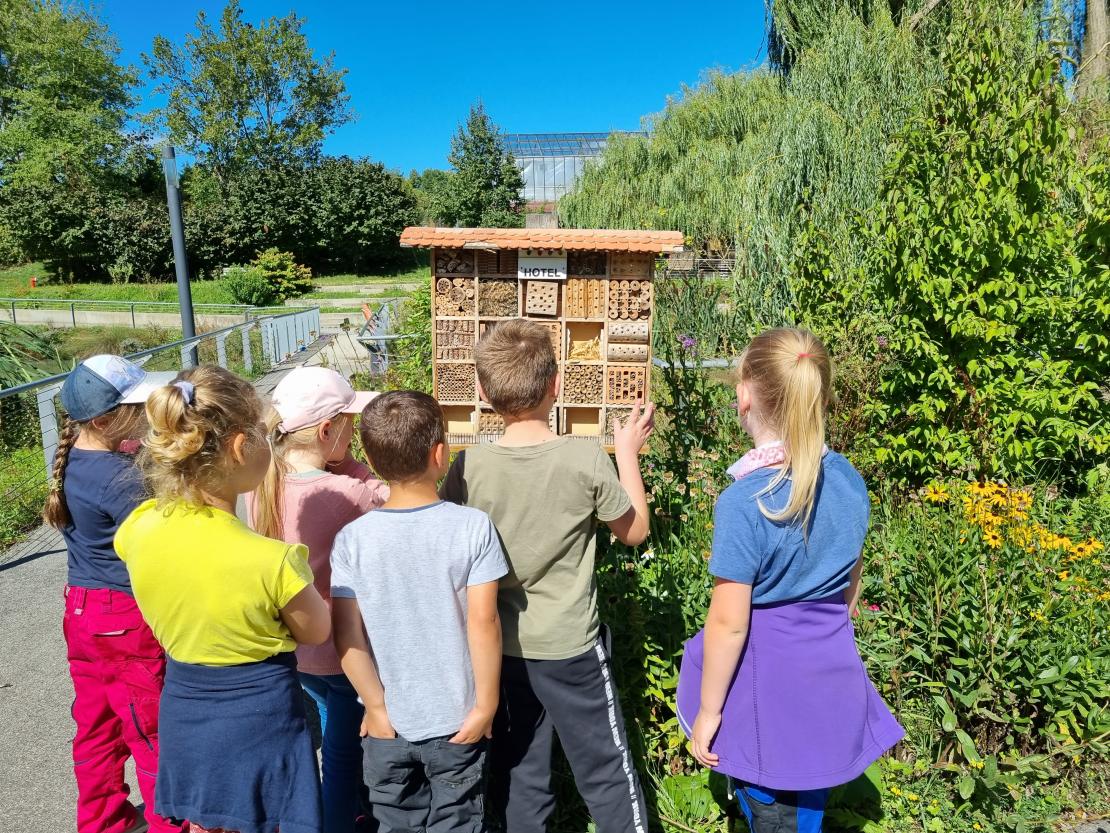 Wie jedes Jahr organisierte die Stiftung St. Johannes (Schweinspoint) für das Ferienprogramm der Stadt Rain einen Bauernhof-Erlebnistag am Johanneshof. Anpacken, Staunen, Mitmachen war das Motto. Die Kinder bekamen einen Blick hinter die Kulissen des Betriebes, lernten den Alltag auf einem Bauernhof kennen und durften sich dabei auch selbst die Hände schmutzig machen.