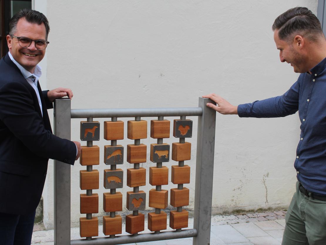 Donauwörther Innenstand Rundgang 