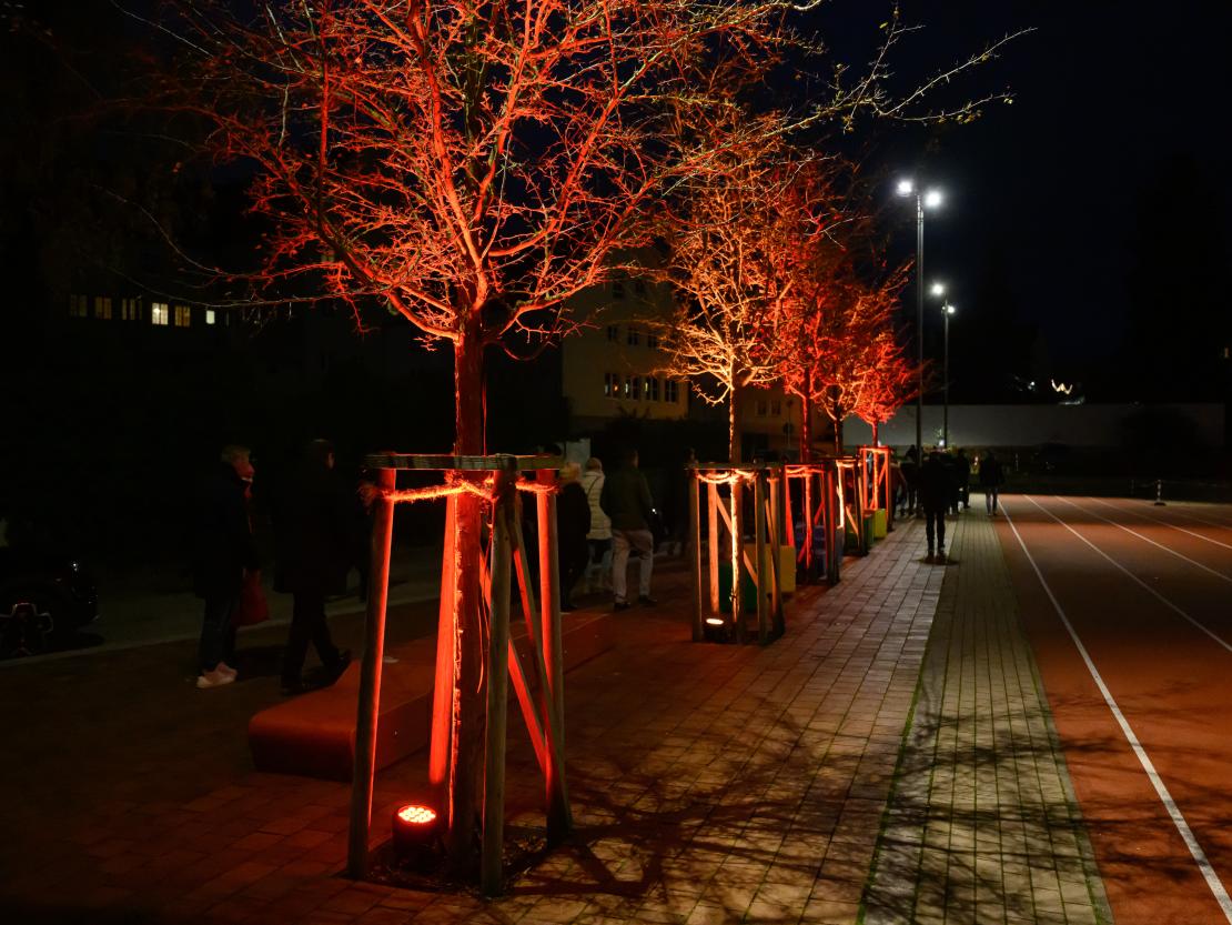 Donauwörther Plätzleweg 2024