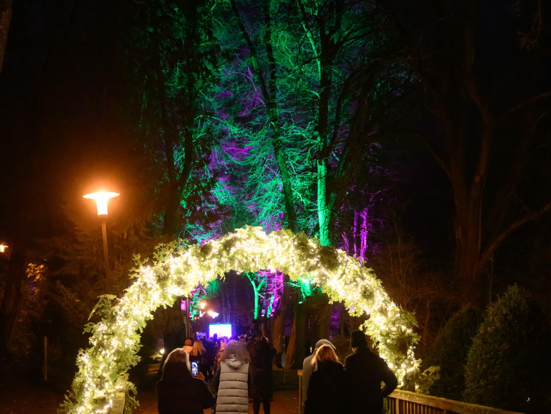 Donauwörther Plätzleweg 2024