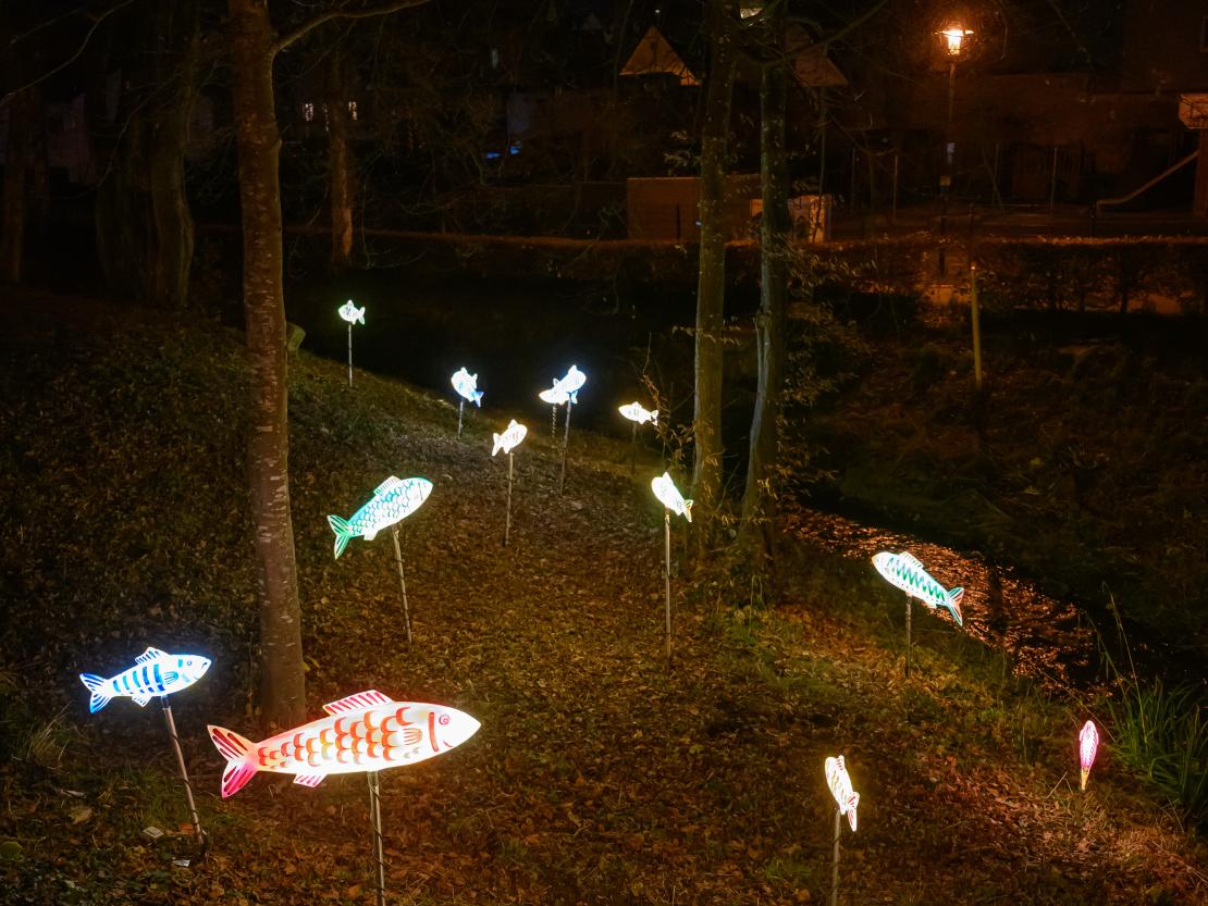 Donauwörther Plätzleweg 2024