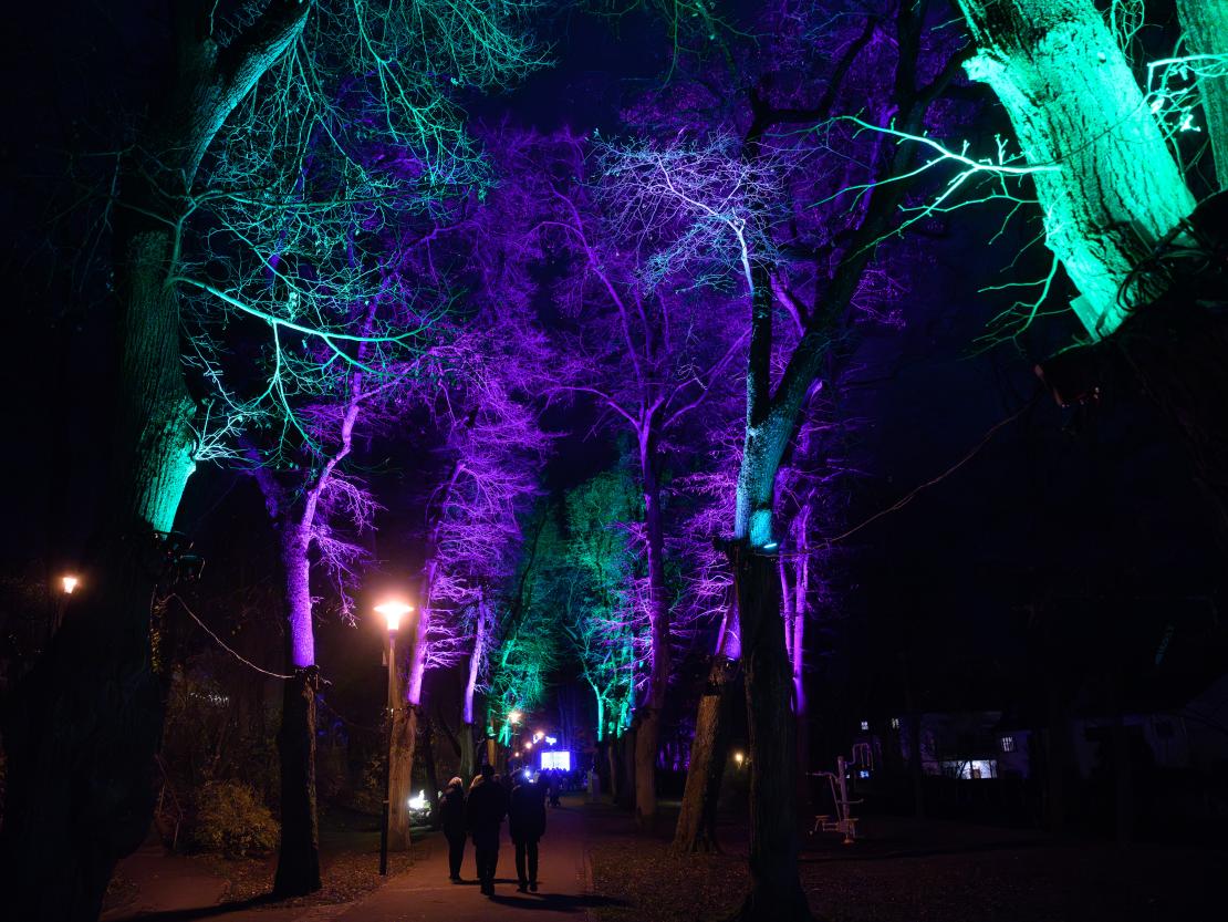 Donauwörther Plätzleweg 2024