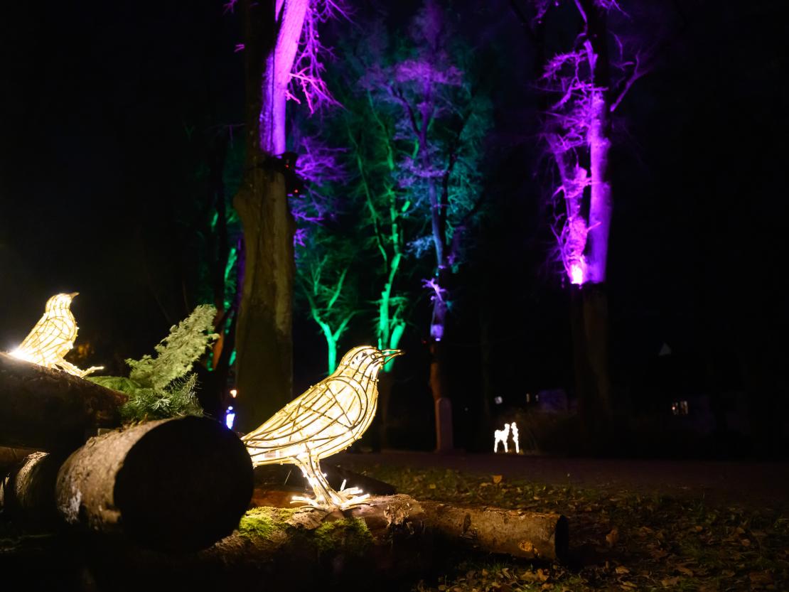 Donauwörther Plätzleweg 2024