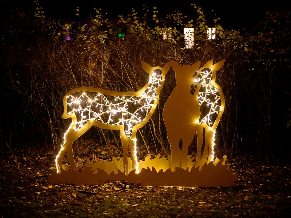 Donauwörther Plätzleweg 2024