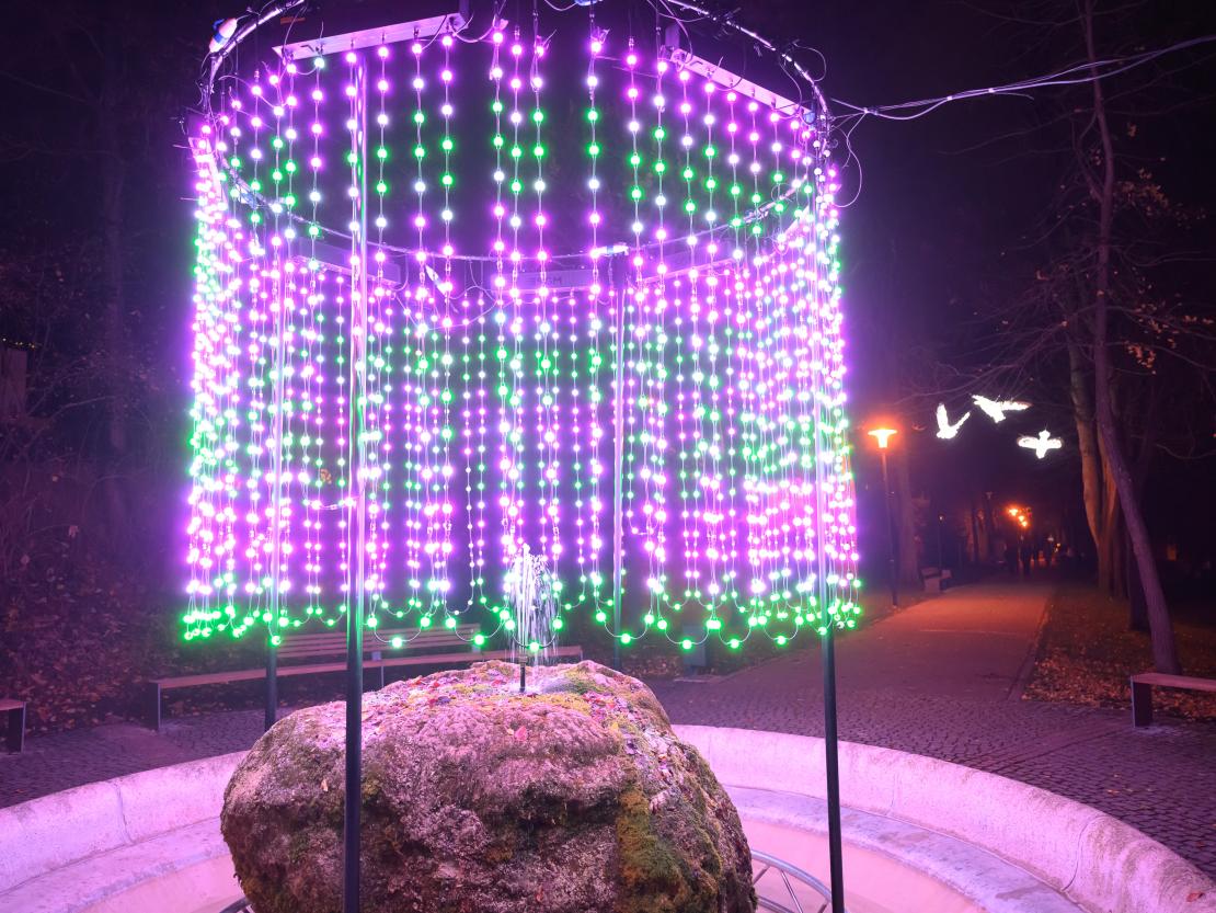 Donauwörther Plätzleweg 2024