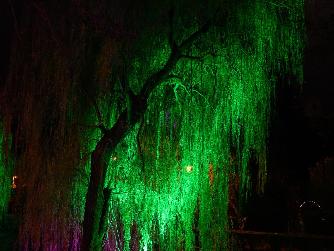 Donauwörther Plätzleweg 2024