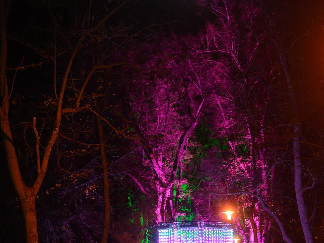 Donauwörther Plätzleweg 2024