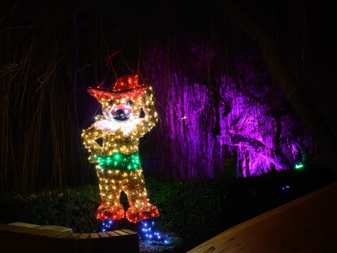 Donauwörther Plätzleweg 2024