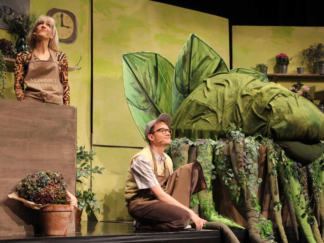 Dramatisches Ensemble "Der kleine Horrorladen"