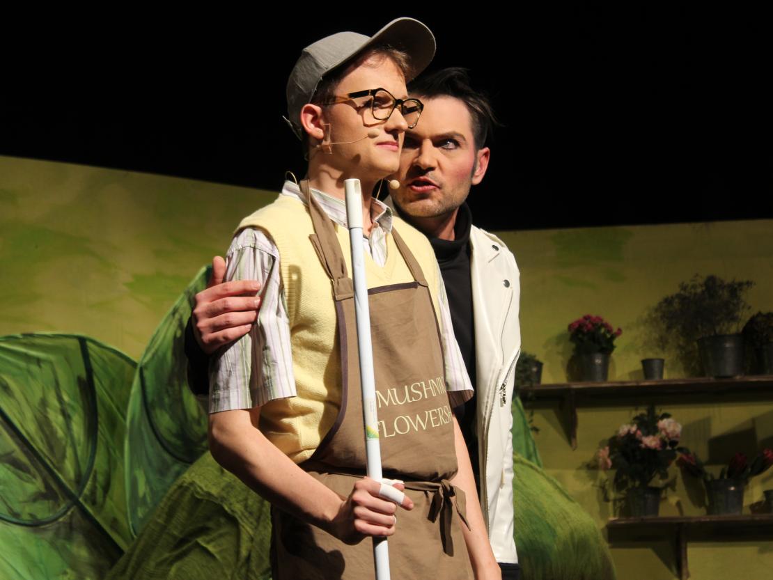 Dramatisches Ensemble "Der kleine Horrorladen"