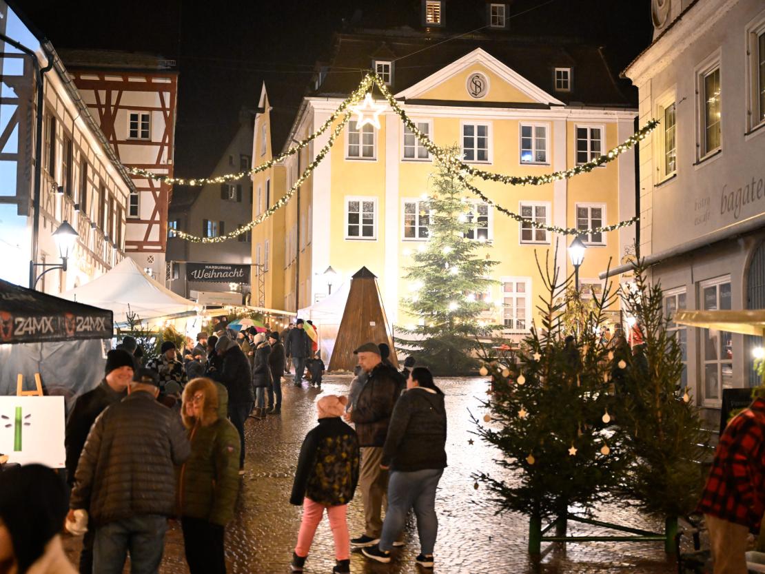Weihnachtsmarkt Harburg 2023