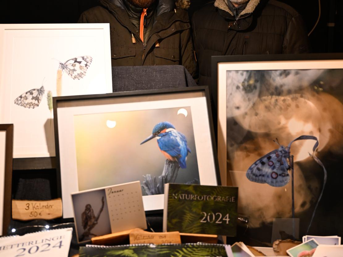 Weihnachtsmarkt Harburg 2023