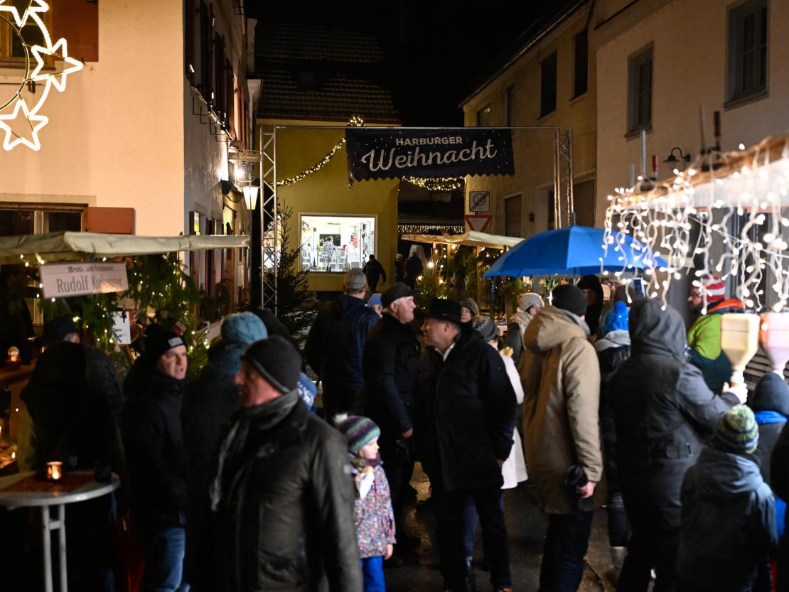 Weihnachtsmarkt Harburg 2023